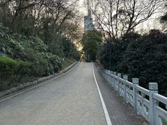 -北极阁公园