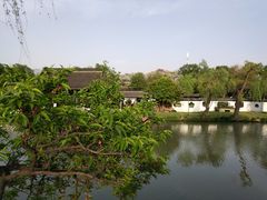 -盆景园(扬州大运河文化旅游度假区)