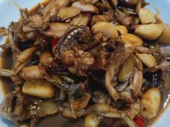 红烧美人腿-金锅小厨(乐活街店)