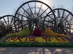 -呀路古热带植物园