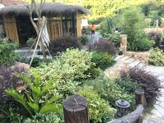 -看见远方·莫干遥远的山民宿