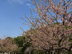 -新江湾城公园