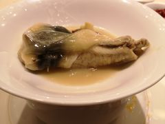 -诺莱仕游艇会