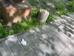 -河北村民俗体验园