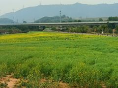 -光明小镇欢乐田园
