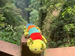 -青城山