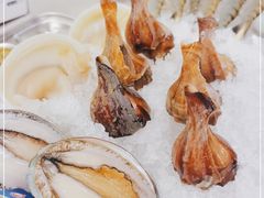 -白仁仔· 活烤海鲜 宵夜(豫园店)