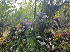 -中国科学院西双版纳热带植物园