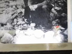 -沈从文故居