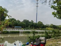 -东坝千亩湖公园