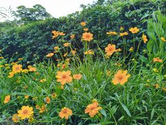 -九里河湿地公园