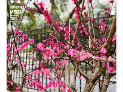 -爱儿坊凯丽滨江幼儿园