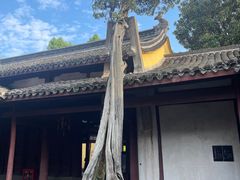 -太平天国侍王府