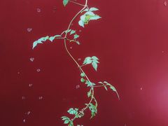 -长春观