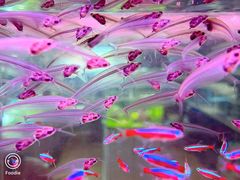 -朝来春花卉市场-东停车场