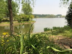 -东郊湿地公园