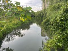 -洋湖国家湿地公园