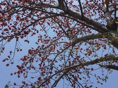 -好成财牛排馆(涂门街总店)