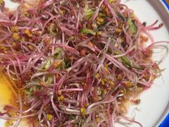 -双德铁锅黑头羊