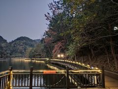 -江西阳明山国家森林公园