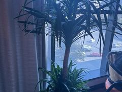 -鸽子侯·家宴·平价海鲜(绿地店)