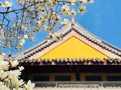 -龙华寺