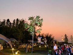 -太阳岛度假酒店