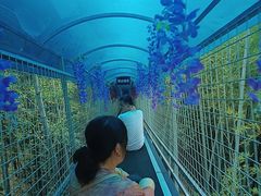 -石燕湖生态旅游景区
