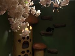 -猫猫幼稚园·撸猫·桌游·电玩