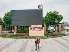 -菊园百果园