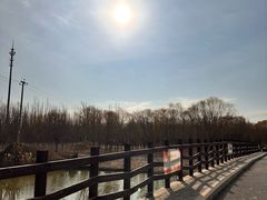 -西青郊野公园