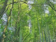 -故乡缘·香格里拉山庄(冷竹路店)
