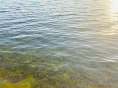 -丁香湖公园