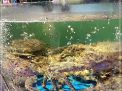 -蟹之国·精品蟹料理(极地店)