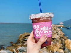 -南澳岛打卡果汁冰公司