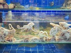-常家活海鲜小吃(仅一家无分店)