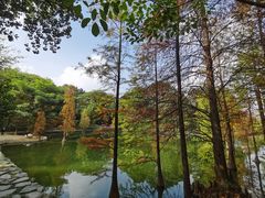 -广州市白云山风景名胜区