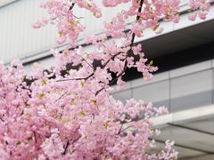 -首开·龙湖成都西宸天街