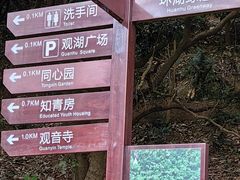 -东莞市大岭山森林公园