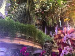 -正佳雨林生态植物园