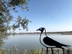 -野鸭湖国家湿地公园