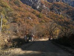 -大连天门山国家森林公园