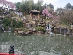 -秀丽东方