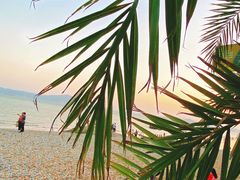 -黄金海岸环岛路