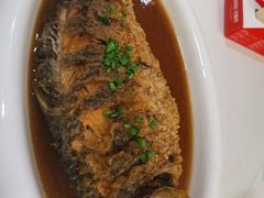 -金狮麟·新豫菜(金码大厦店)