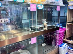 -FAELING PETS美天灵宠物(富力广场店)