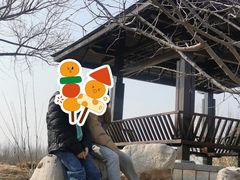 -东郊湿地公园