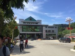 -打洛口岸