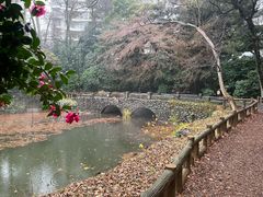 -井之头恩赐公园