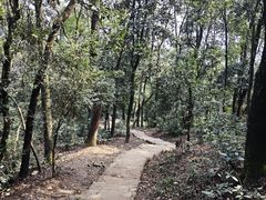 -岳麓山风景名胜区